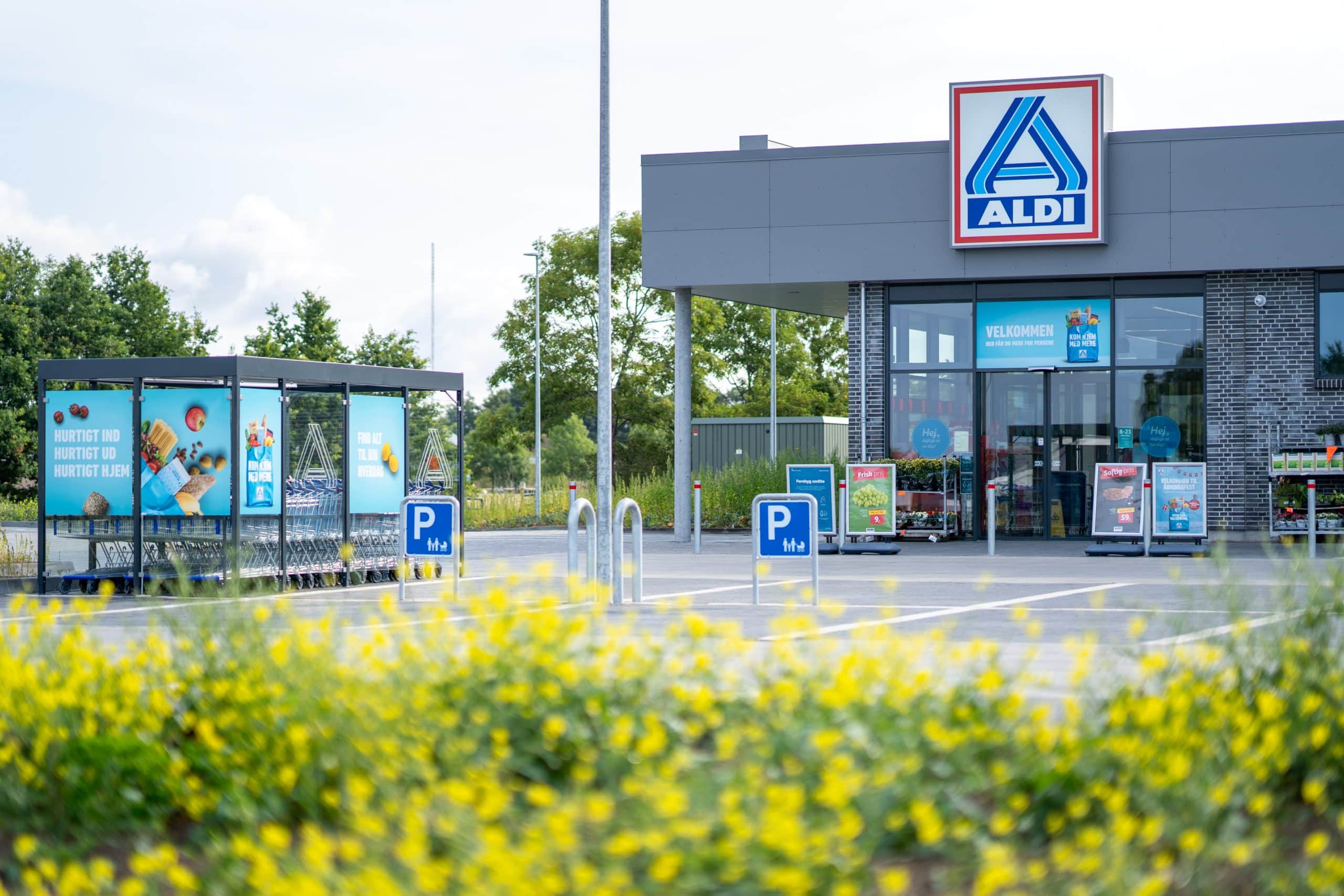 aldi l'enseigne de supermarché face à un scandale sanitaire, des souris montent sur les salariés