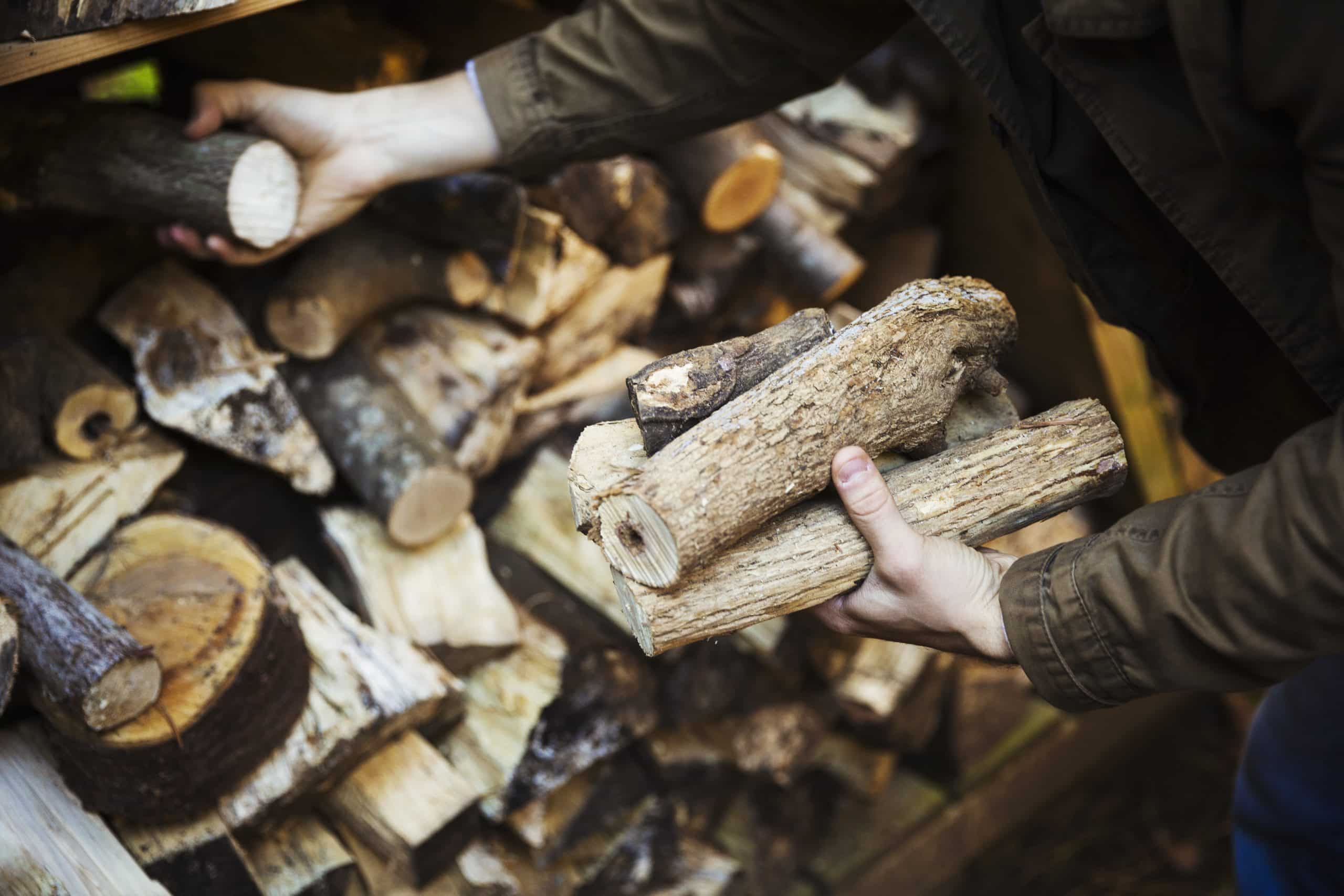 Alerte bon plan : Bois de chauffage à moins de 50 euros le stère