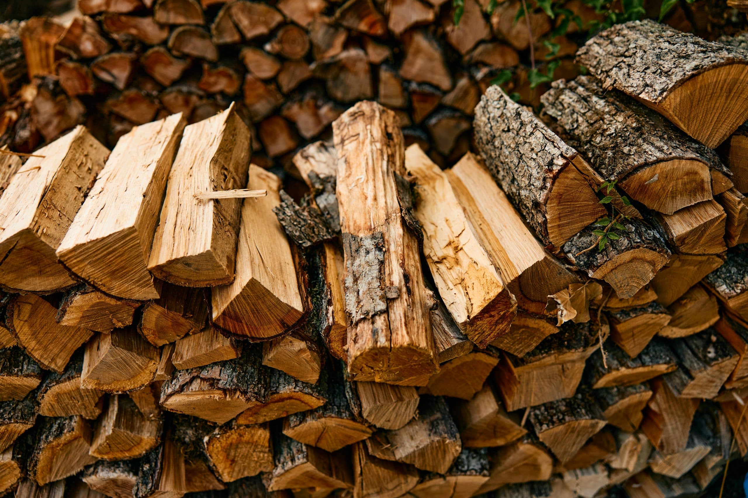 «Chômeur», il arrondissait ses fins de mois en vendant du bois de chauffage et a gagné 1 million d'euros en 5 ans