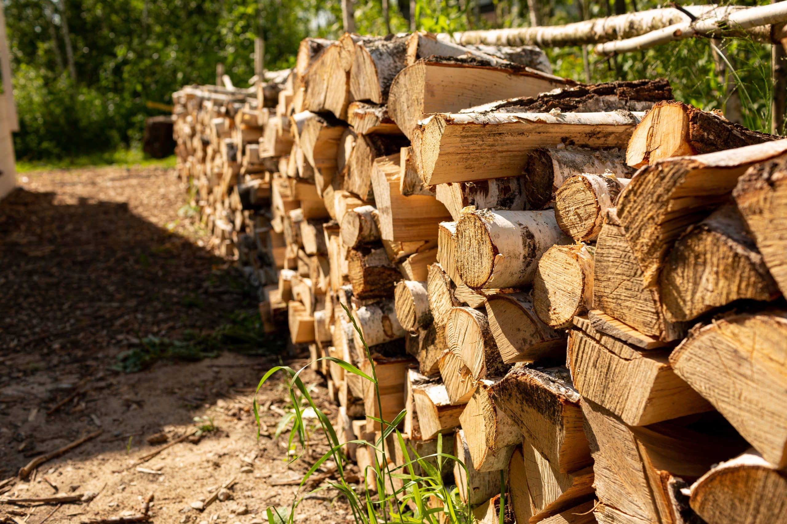 Quel est le prix d'un stère de bois en 50 cm en février 2025