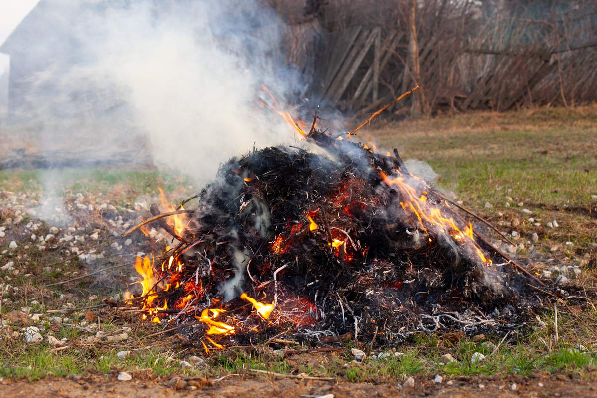 est il réellement interdit de brûler des déchets verts dans son jardin en 2025