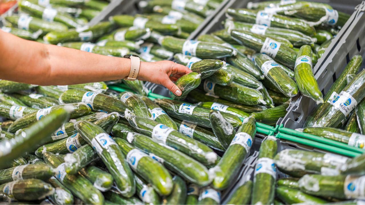 voici pourquoi le concombre est vendu sous plastique au supermarché, mais jamais la courgette