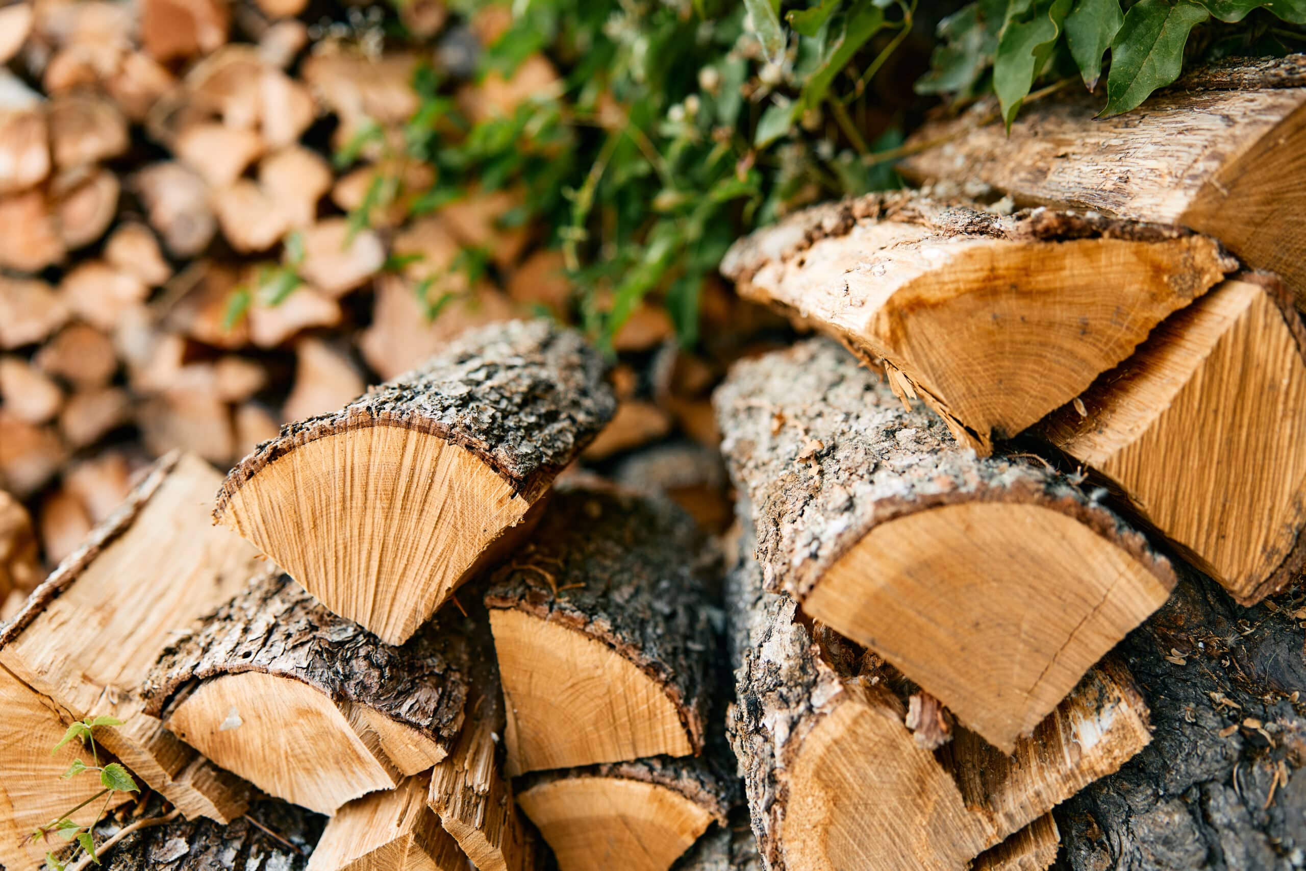 Quel est le prix d’un stère de bois en 30 cm en avril 2025 ?